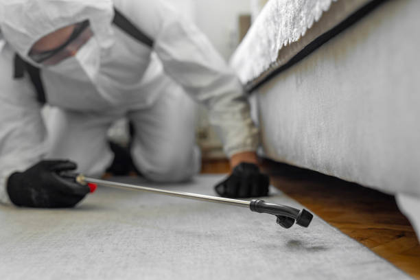 Professional Bed Bug Control technician working in Northlake, TX